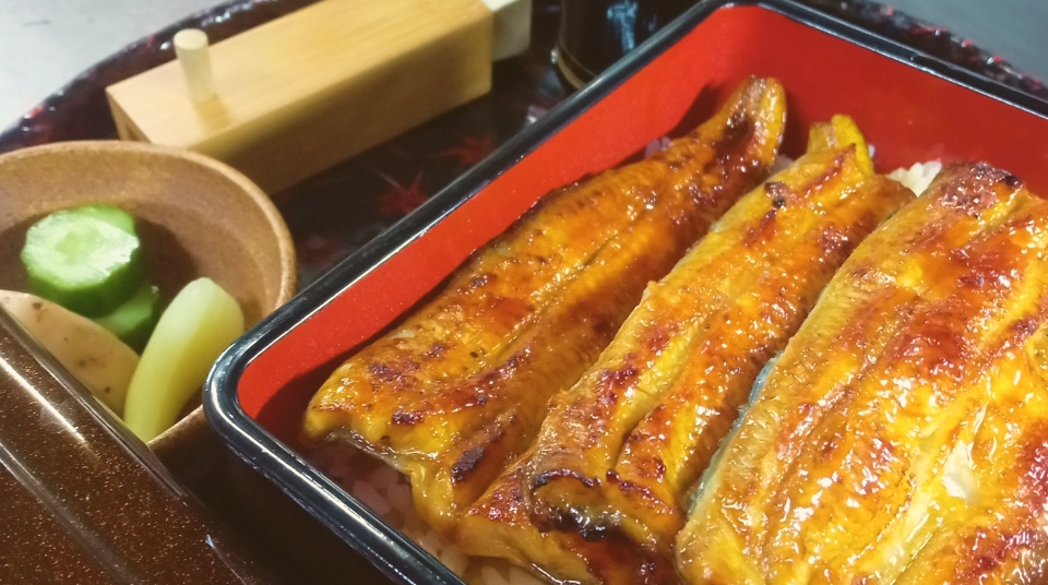 うな重