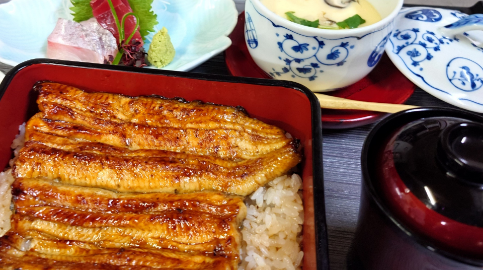 うなぎ柳川膳
