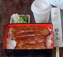 うな重　単衣（一匹）肝吸と香の物付