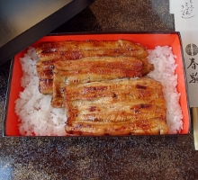 うな重　羽衣（一匹半）