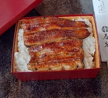 うな重　袷（二匹）