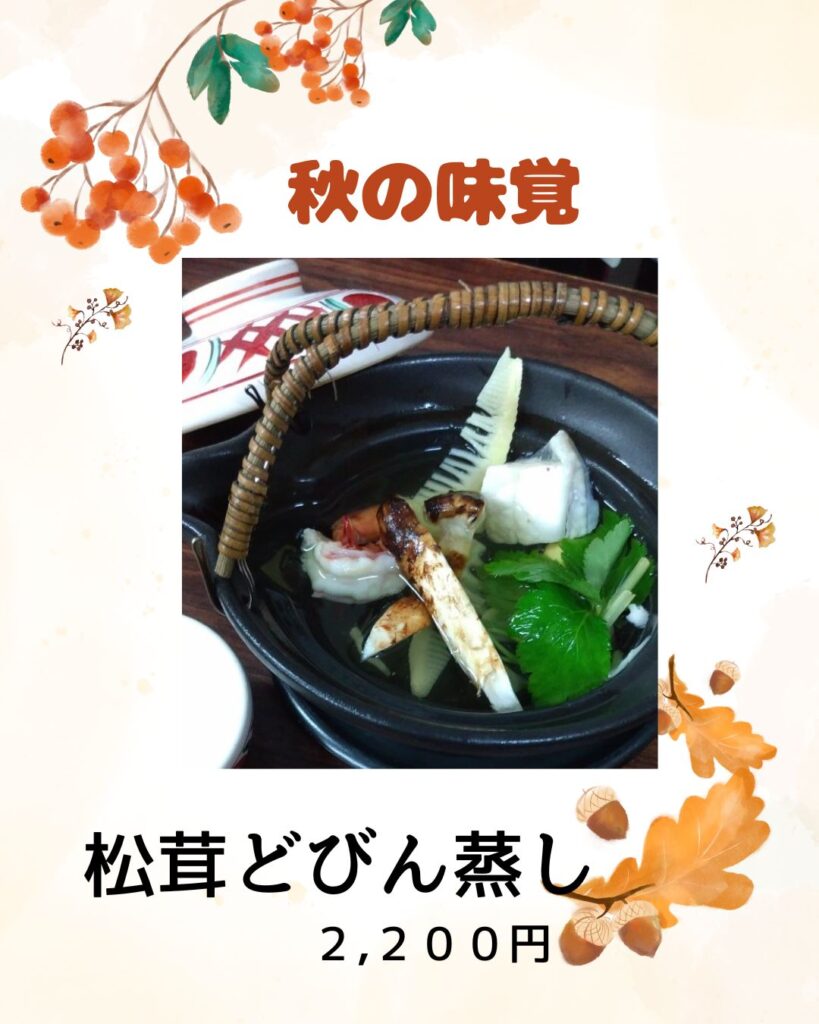 食品 和歌山松茸 新鮮朝市 込み込み 334㌘